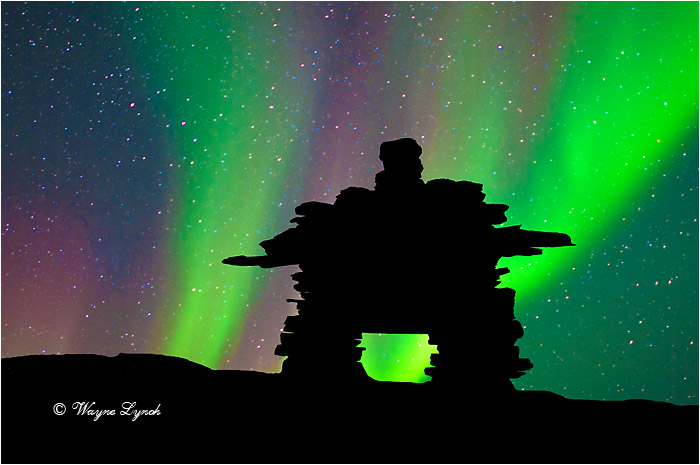 Inukshuk and Northern Lights by Dr. Wayne Lynch ©